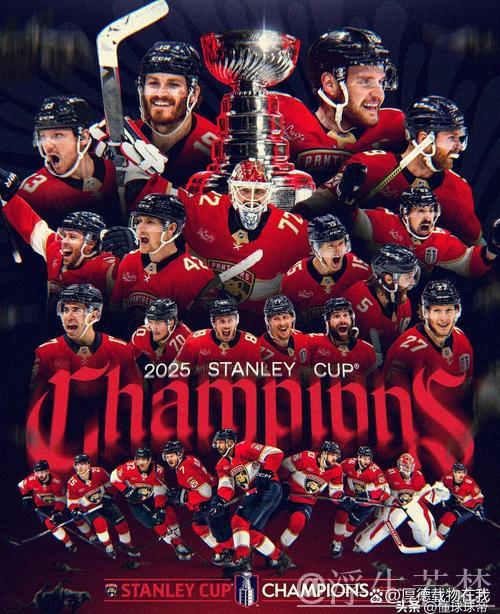 佛罗里达美洲豹暂时领先,总比分锁定胜局! 佛罗里达美洲豹暂时领先,总比分锁定胜局!